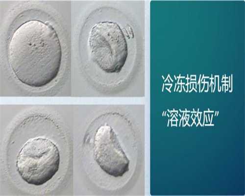 广州试管助孕热线，广州最好的妇科医院在线咨询