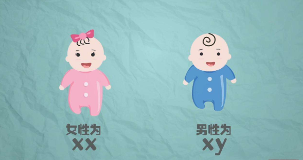 广州寻找捐卵女性，广州促排卵检查