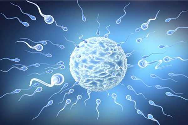 广州代生专业机构，死精子&无精子需要怎麽治疗，能做试管婴儿吗?