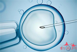 广州68万零风险包成功，怀孕手指关节变大原因
