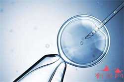 广州正规医院提供卵子吗，因子宫腺肌症、卵巢囊肿辞职的日子
