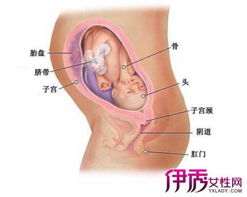 广州代生包女孩-广州我想找人帮代怀-【科技受孕，科学怀孕】