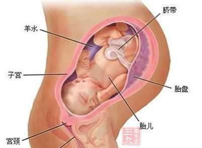 广州代生小孩妈妈的-代生宝宝的机器-广州代怀生子网多少钱