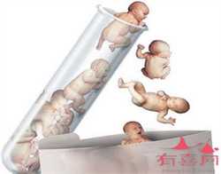广州供卵正规医院，一种生物只有一套染色体基数？我国科研人员发现桑树有两