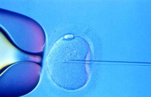 广州借卵代怀，胚胎移植_泰国试管移植应该多吃什么