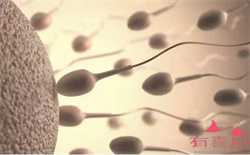 广州先天性卵子发育异常可以供卵，两种适合孕中期来做的胎教方式