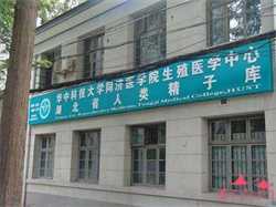 广州哪个医院可以借卵试管，4种食物孕妈妈切记不可吃