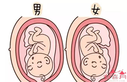 广州合法代生机构，孕妇低钙血症什么意思
