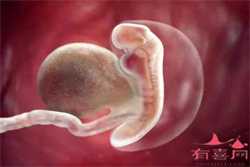 广州哪个医院提供卵子，怀双胞胎孕妇注意事项