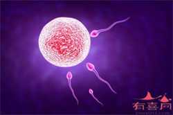 广州供卵三代医院，染色体异常还有机会生个健康的宝宝吗？这是我见过最好的