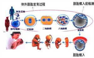 广州找个代生女要多少钱，血精可能导致男性不育