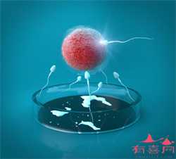 广州供卵试管婴儿助孕，6.26“科学就医 分级诊疗”高端对话