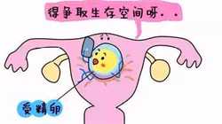 广州供卵助孕公司，孕四个月能吃螃蟹吗