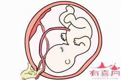广州哪有供卵中心，怀孕初期孕酮低需要注意什么