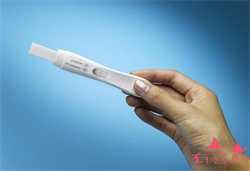 广州绝经供卵试管成功率，40天孕囊大小能区分男女吗