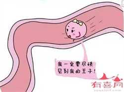 广州供卵试管哪里做得好，试管婴儿也有可能会流产，其主要原因有这5点