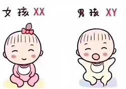 广州代怀孕包成功价格，感情不好但怀孕了怎么办