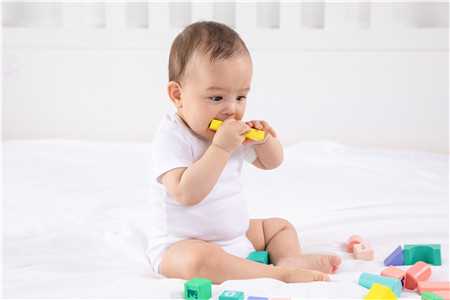 广州供卵选性别机构，1岁宝宝辅食食谱