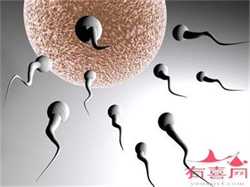 供卵快的医院，孕晚期胎动厉害是男是女