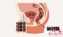 广州代生娃儿~广州供卵试管论坛~，孕妇吃榨菜对胎儿有影响吗