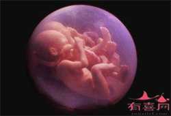 广州供卵官网~广州哪里有供卵子医院，2岁宝宝可以吃钙片么
