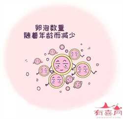 广州借卵子流程~广州不用等的供卵医院，cd38阳性可以做试管吗