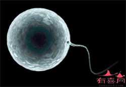 供卵试管生孩子有吗，泰国第三代试管胚胎移植后的注意事项了解一下