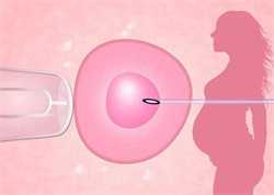 广州代生包成功~广州试管供卵中心~，阴道炎对试管婴儿成功率和胚胎发育的影