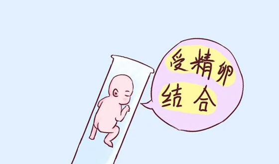 广州代怀生子机构~广州代生宝宝保密咨询，做试管婴儿前的相关检查