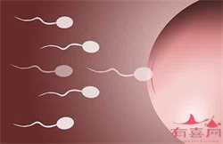 温州供卵代孕过程,【广州供卵试管长方案过程】一定不能给自己太大压力、顺