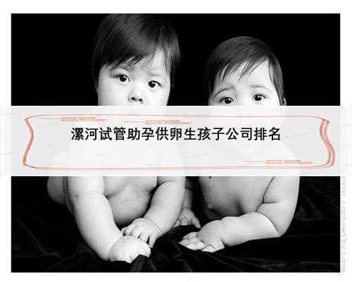 漯河试管助孕供卵生孩子公司排名